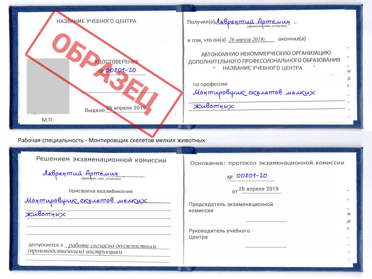 Монтировщик скелетов мелких животных Рыбинск